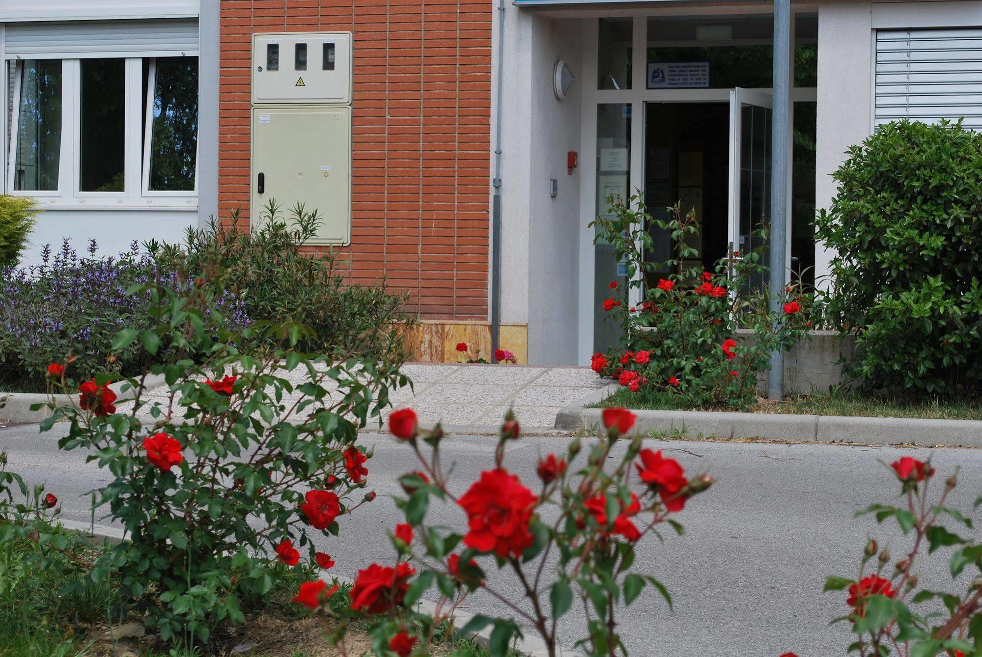 نوفا جوريكا Bed And Breakfast Kogoj المظهر الخارجي الصورة